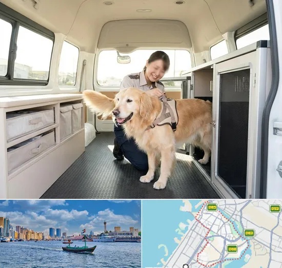Pet Taxi in Bur Dubai