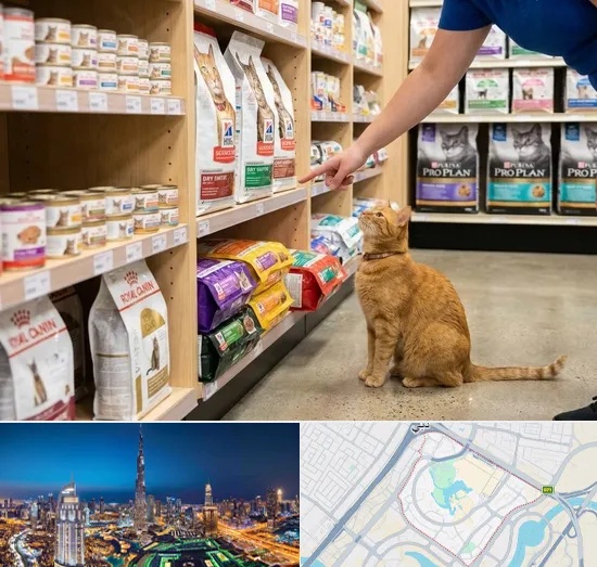 Cat Food in Downtown Dubai