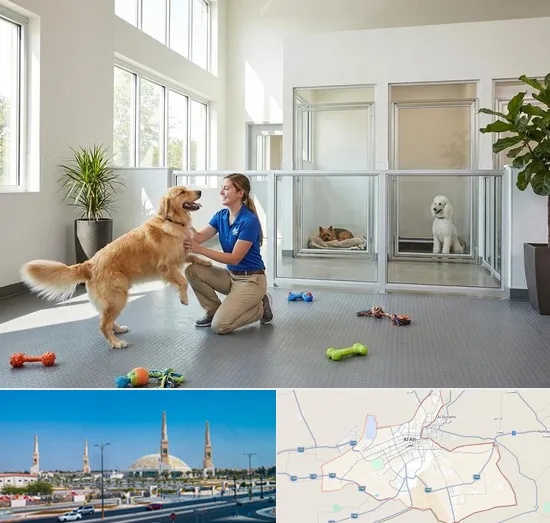 Pet Boarding in Al Ain