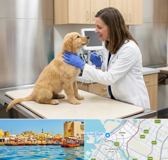 Pet Vaccination in Deira