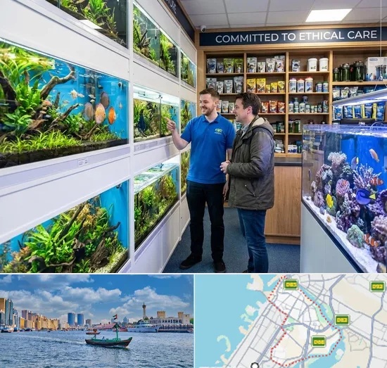 Fish & Aquarium Shop in Bur Dubai