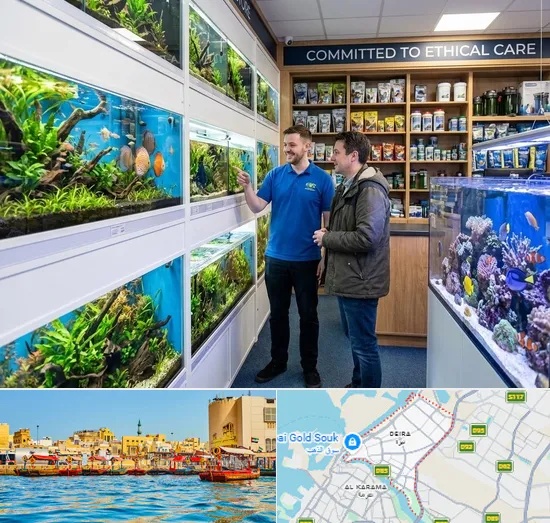 Fish & Aquarium Shop in Deira