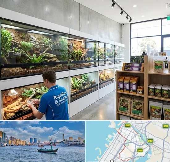 Reptile & Snake Shop in Bur Dubai