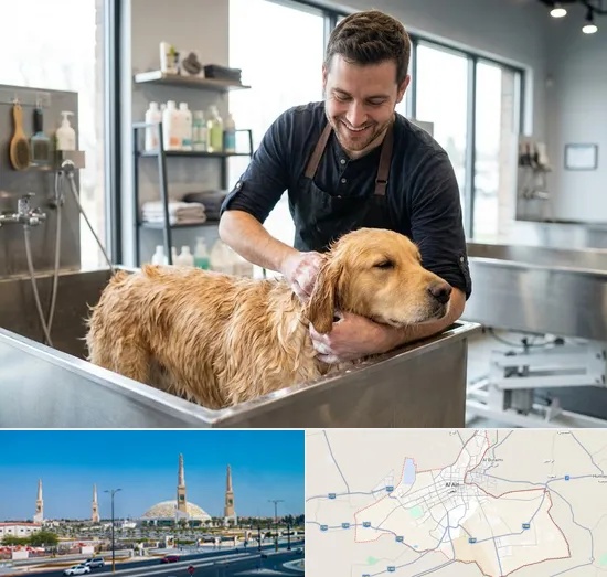 Pet Grooming in Al Ain