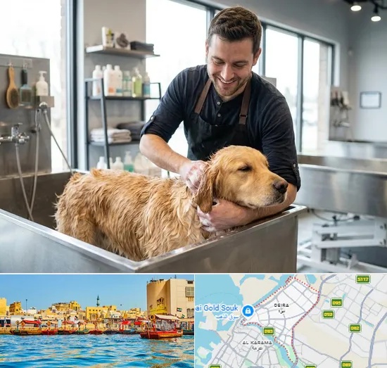 Pet Grooming in Deira