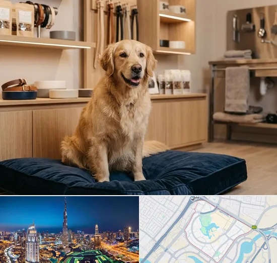 Premium & Luxury Pet Shop in Downtown Dubai