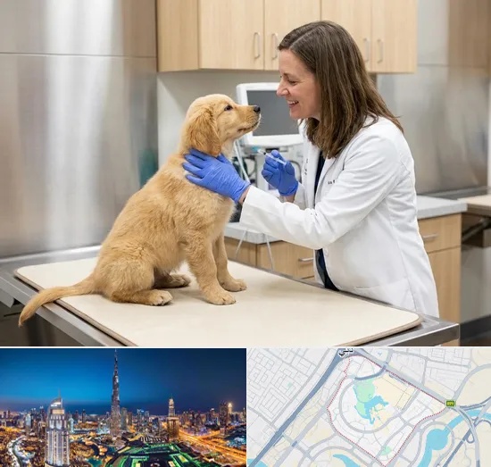 Pet Vaccination in Downtown Dubai