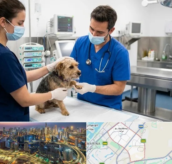 Emergency Veterinary in Al Barsha